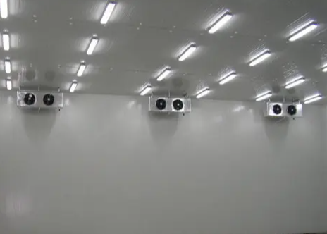 氣調(diào)冷庫 氣調(diào)冷庫