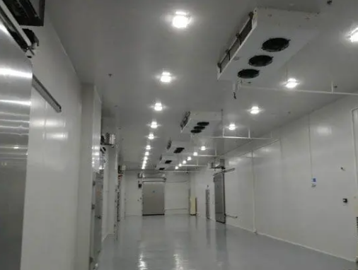 如何選擇一家好的冷庫公司?從以下三點看! 如何選擇一家好的冷庫公司?從以下三點看!