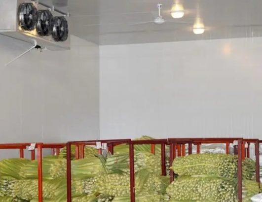 冷庫建造 冷庫建造