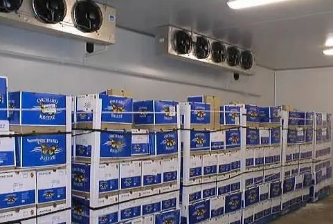 1000平方農產品冷庫安裝工程成本費用多少錢 1000平方農產品冷庫安裝工程成本費用多少錢