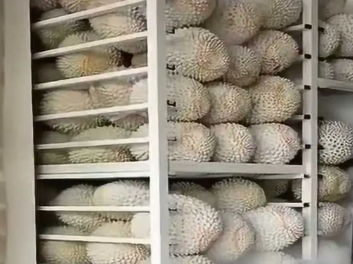 榴蓮放在冷庫里環境溫度是多少℃ 榴蓮放在冷庫里環境溫度是多少℃