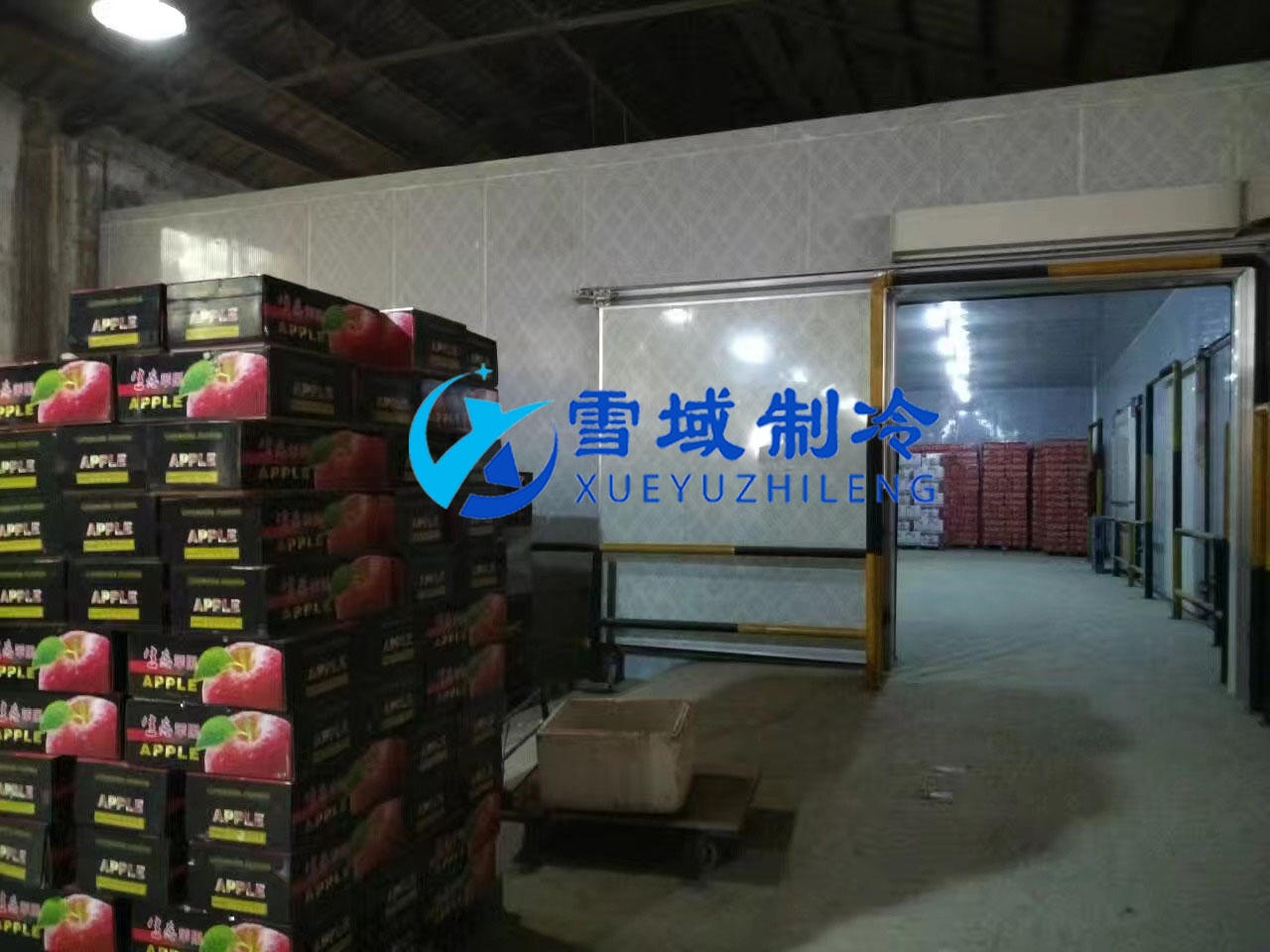 南京某水果公司水果冷庫現場圖片 南京某水果公司水果冷庫現場圖片