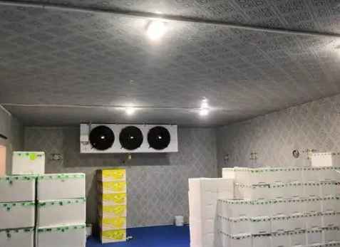 房屋內建冷庫和噴涂建冷庫的注意事項 房屋內建冷庫和噴涂建冷庫的注意事項