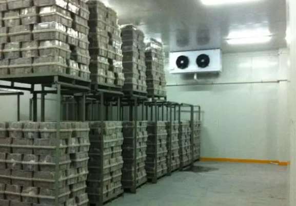 紅薯保鮮庫建造 紅薯保鮮庫建造