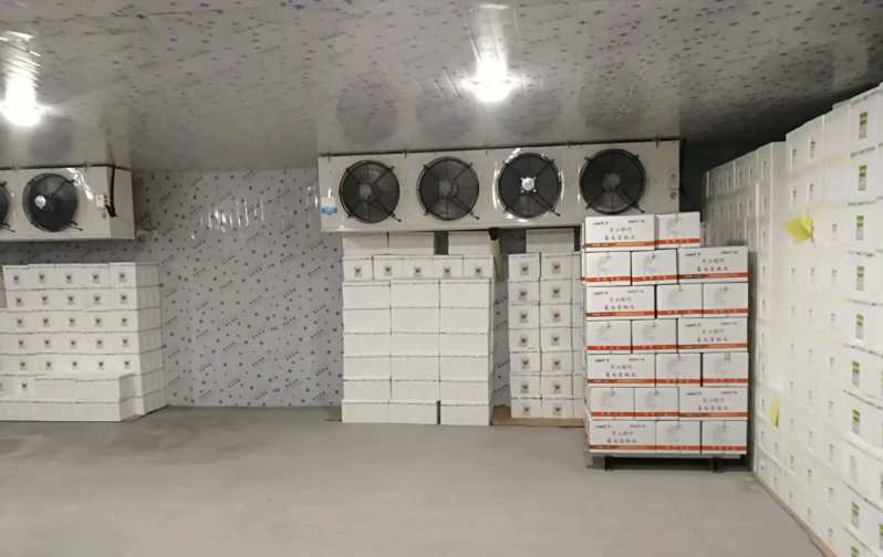 南京3500平米海鮮冷庫改如何設計 南京3500平米海鮮冷庫改如何設計