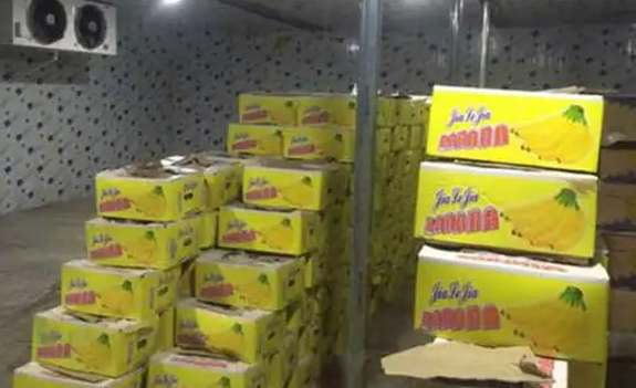 2023年冷庫賺錢的方法 2023年冷庫賺錢的方法