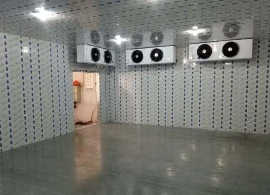 冷庫建設(shè)成本一平米需要多少預(yù)算 冷庫建設(shè)成本一平米需要多少預(yù)算