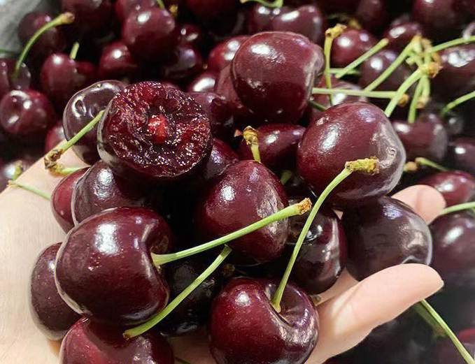 車厘子冷庫存儲技巧! 車厘子冷庫存儲技巧!