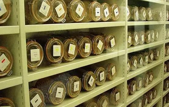 安裝500平米科研種子冷庫費用是多少？