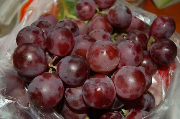 建造提子氣調保鮮庫一平米多少錢 建造提子氣調保鮮庫一平米多少錢