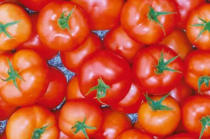 建1000平方米番茄氣調(diào)保鮮冷庫(kù)造價(jià)多少錢 建1000平方米番茄氣調(diào)保鮮冷庫(kù)造價(jià)多少錢