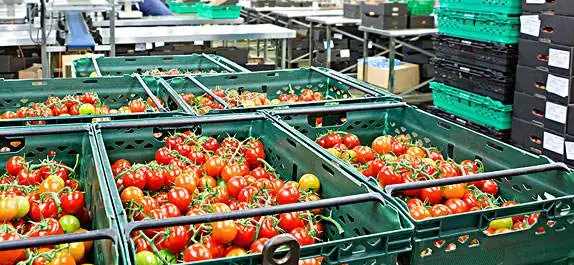 建1000平方米番茄氣調(diào)保鮮冷庫(kù)造價(jià)多少錢 建1000平方米番茄氣調(diào)保鮮冷庫(kù)造價(jià)多少錢