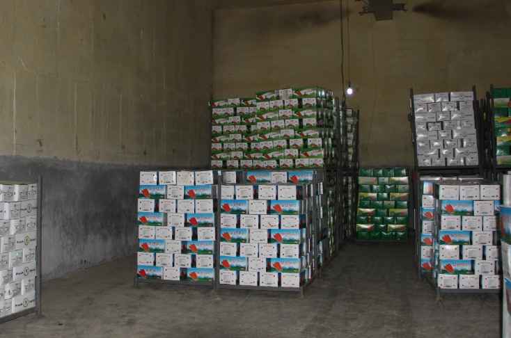 蘿卜保鮮冷庫安裝費(fèi)用多少錢 蘿卜保鮮冷庫安裝費(fèi)用多少錢