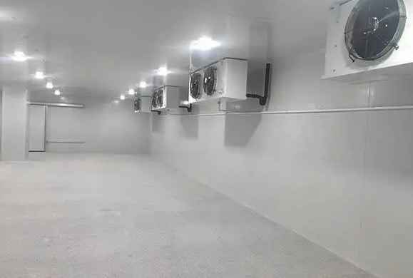 中溫冷庫可以保鮮水果嗎 中溫冷庫可以保鮮水果嗎