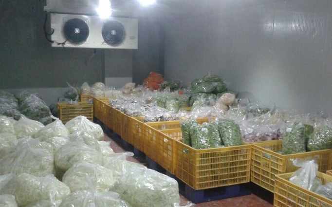 佛山保鮮冷庫安裝價格大概多少錢 佛山保鮮冷庫安裝價格大概多少錢