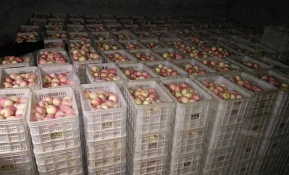 安裝30平米蘋果保鮮冷庫大約需要多少錢 安裝30平米蘋果保鮮冷庫大約需要多少錢