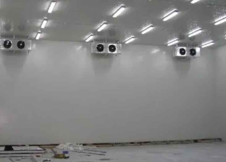 1000立方冷凍庫每平方米的造價多少錢 1000立方冷凍庫每平方米的造價多少錢