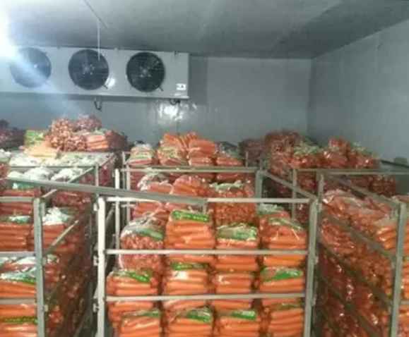 果蔬保鮮冷庫造價多少錢 果蔬保鮮冷庫造價多少錢