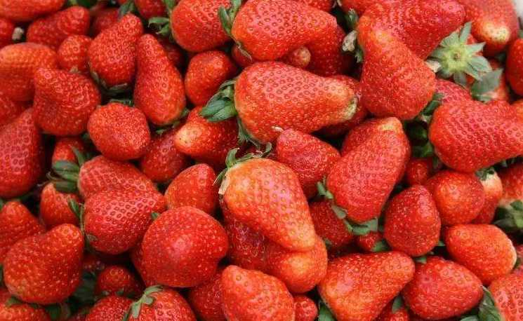 草莓能放在冷庫中保鮮嗎 草莓能放在冷庫中保鮮嗎