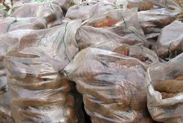 建造地瓜保鮮冷庫(kù)需要多少錢(qián)