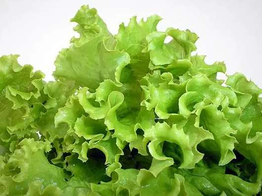 生菜在冷庫中該怎么保存時間長 生菜在冷庫中該怎么保存時間長