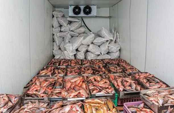 海鮮冷庫用風(fēng)冷還是排管好 海鮮冷庫用風(fēng)冷還是排管好