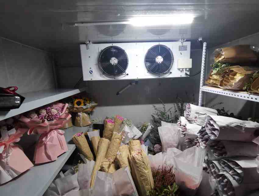 冷庫鮮花老是發霉怎么回事 冷庫鮮花老是發霉怎么回事