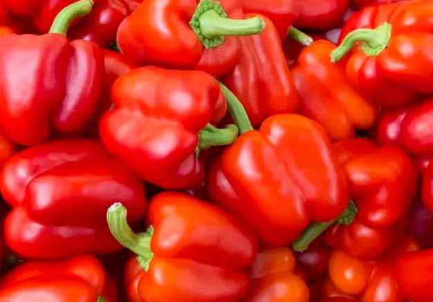 甜椒冷庫存儲溫度要求? 甜椒冷庫存儲溫度要求?