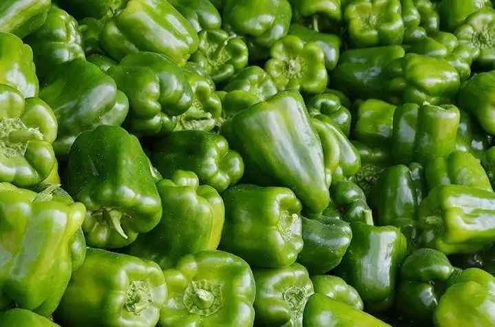 甜椒冷庫存儲溫度要求? 甜椒冷庫存儲溫度要求?