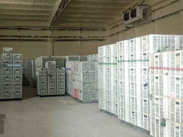 冷庫規(guī)模分類標準是什么 冷庫規(guī)模分類標準是什么