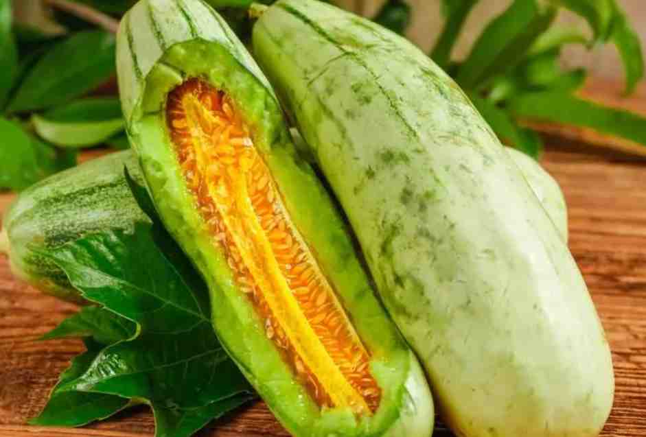 羊角蜜保鮮冷庫(kù)存儲(chǔ)溫度 羊角蜜保鮮冷庫(kù)存儲(chǔ)溫度