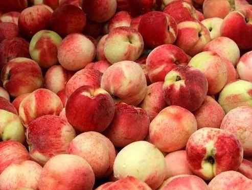 水果為什么要放冷庫保鮮保存 水果為什么要放冷庫保鮮保存