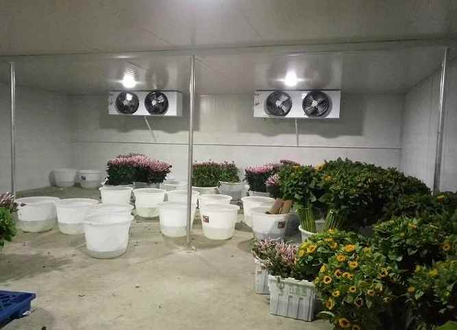 冷庫地面施工工藝的流程內容 冷庫地面施工工藝的流程內容