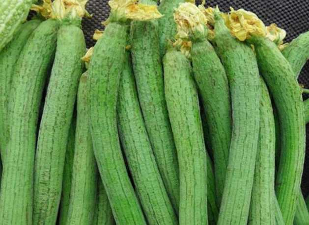 冷庫保鮮蔬菜能保存多久 冷庫保鮮蔬菜能保存多久