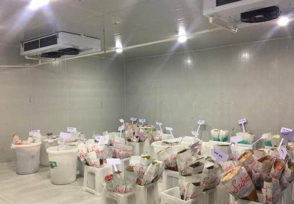 怎么選擇一家好的廣州冷庫建造公司 怎么選擇一家好的廣州冷庫建造公司