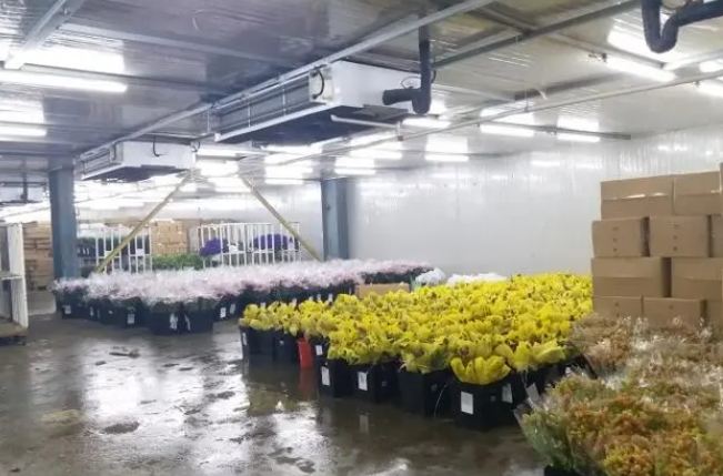 杭州冷庫安裝公司如何選擇 杭州冷庫安裝公司如何選擇