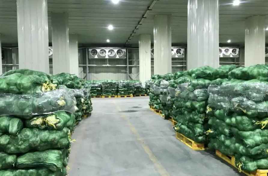 正常的冷庫(kù)蔬菜保鮮多少度?該如何存儲(chǔ)? 正常的冷庫(kù)蔬菜保鮮多少度?該如何存儲(chǔ)?