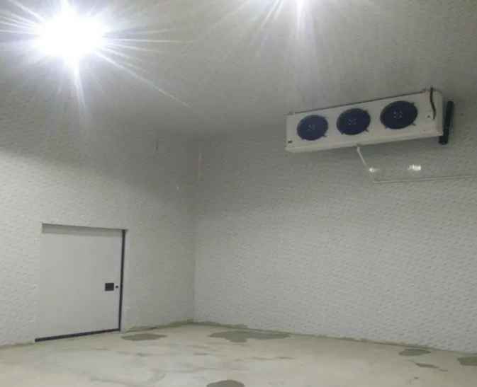 速凍冷庫(kù) vs 保鮮冷庫(kù):如何選擇適合您的冷庫(kù)類型? 速凍冷庫(kù) vs 保鮮冷庫(kù):如何選擇適合您的冷庫(kù)類型?