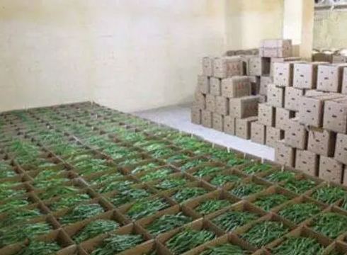 地下冷庫(kù)建設(shè)投資預(yù)算價(jià)格多少錢