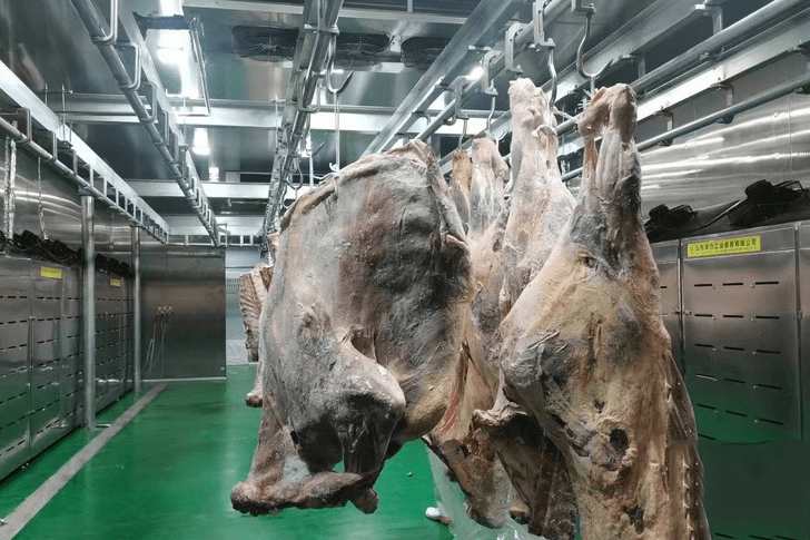 建一個3000噸羊肉冷庫需要多少錢 建一個3000噸羊肉冷庫需要多少錢