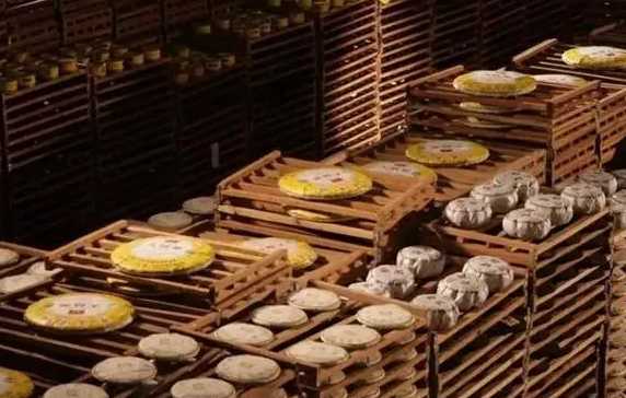 茶葉冷庫設備建造流程 茶葉冷庫設備建造流程