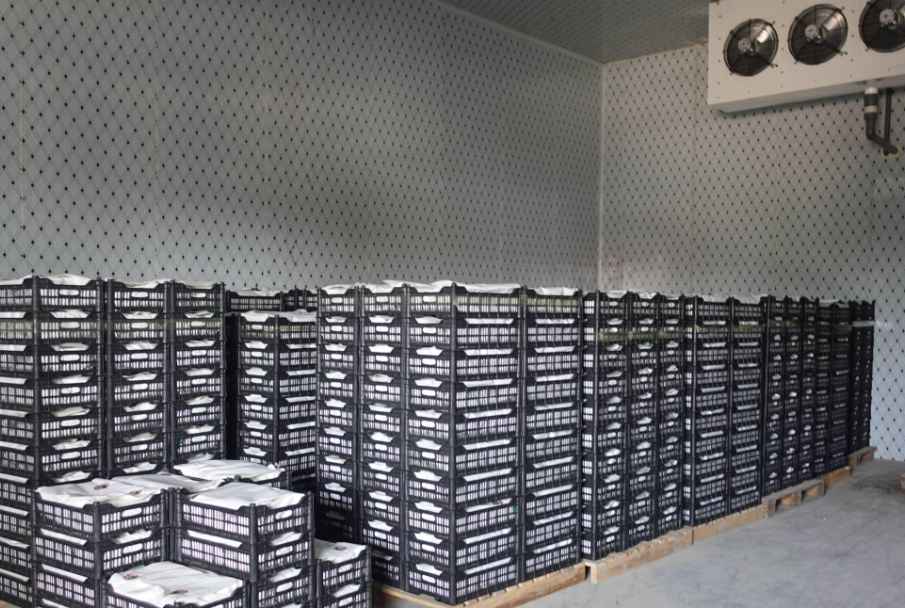 冷庫門密封效果維護和修理辦法？